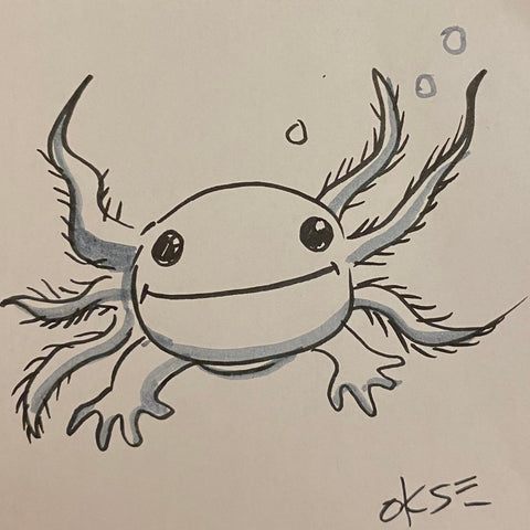 Axolotl